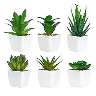 Plantes artificielles d'intérieur - Gomaihe 