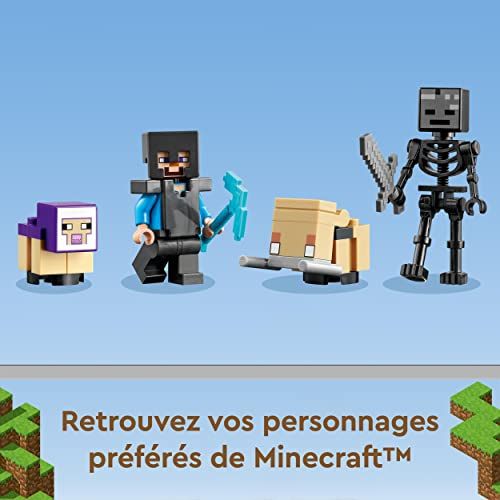 Les Lego Minecraft pour enfant