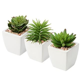 Plantes artificielles d'intérieur en pots en céramique. Cadeau esthétique et pratique, sans aucun entretien nécessaire.