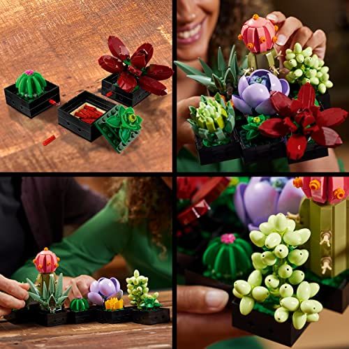Lego Plantes Succulentes, décoration intérieure créative, set de construction 9 plantes en briques, cadeau original pour amateurs de Lego et design