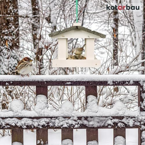Mangeoire à oiseaux en bois naturel, écologique, forme maison, parfaite pour observer les oiseaux et ajouter une touche de nature à votre jardin.