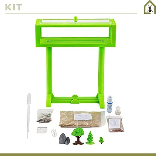 Fourmilière 3D éducative et écologique AntHouse avec fourmis et kit de démarrage pour enfants