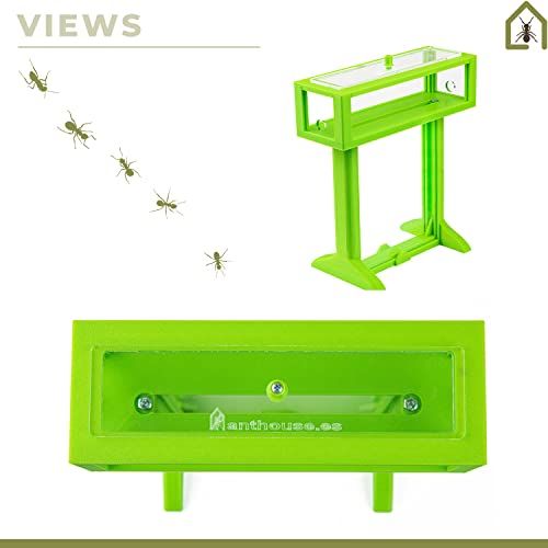 Fourmilière 3D éducative et écologique AntHouse avec fourmis et kit de démarrage pour enfants