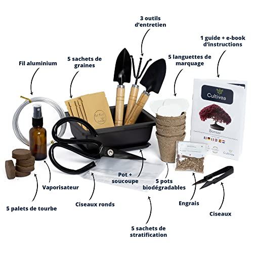 Kit de démarrage Bonsaï Cultivea, cadeau idéal pour amoureux de la nature, créativité en intérieur, plantes, jardinage facile et écologique.