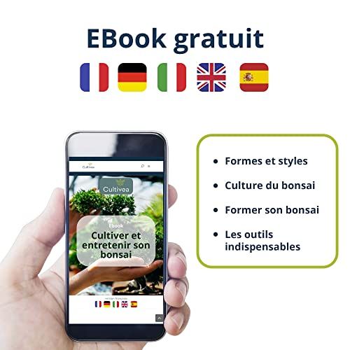 Kit de démarrage Bonsaï Cultivea, cadeau idéal pour amoureux de la nature, créativité en intérieur, plantes, jardinage facile et écologique.