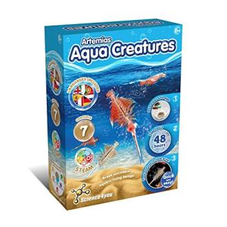 Kit éducatif Science4you écosystème aquatique avec artémias pour enfants curieux et apprentissage STEAM