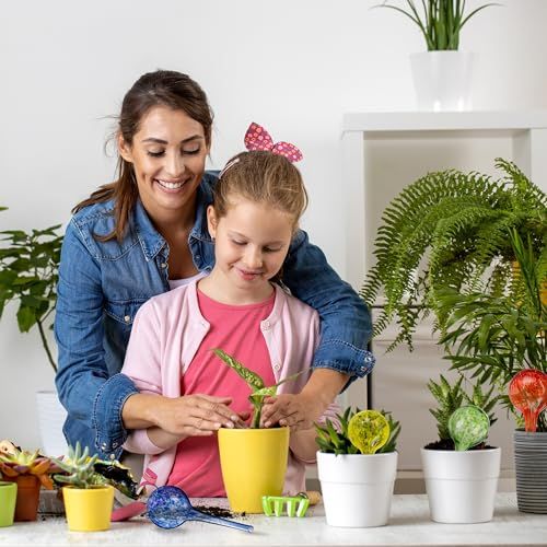 Quatre bulles d'arrosage en verre coloré pour plantes, cadeau écologique élégant et pratique, arrosage automatique facile pour jardiniers, décoration intérieure chic.