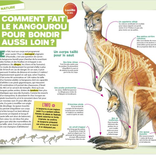 Abonnement magazine Tout Comprendre Junior pour enfants curieux, idée cadeau éducative de 8 à 12 ans, éveil ludique et captivant.