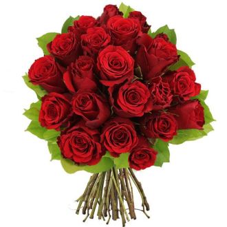 Bouquet de roses 20 gros boutons d'amour en livraison express.