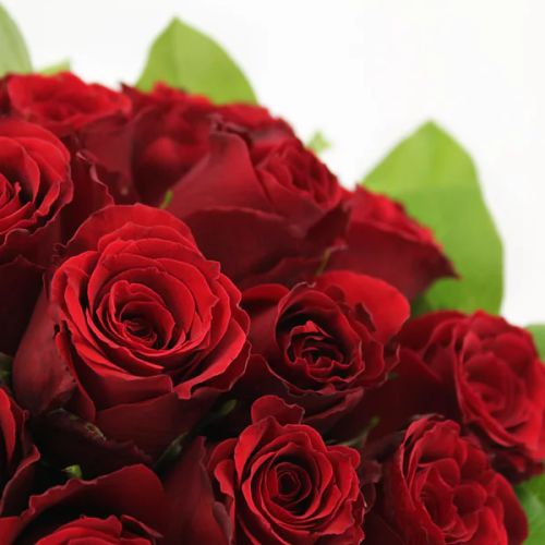 Bouquet de roses 20 gros boutons d'amour en livraison express.