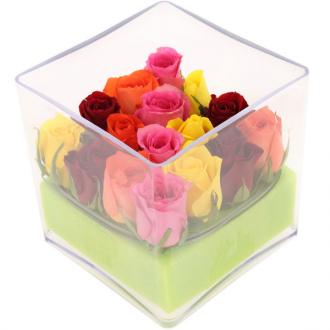 Carré de roses multicolores dans cube plexiglass pour cadeau élégant et original.