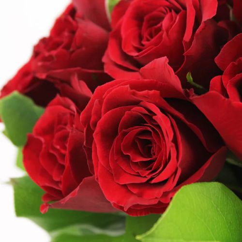Pack Petit Déjeuner - Bouquet de 15 roses rouges et trousse zippée remplie de délices au chocolat.