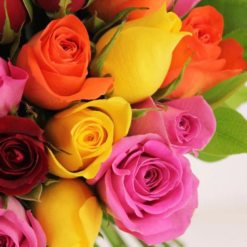 Bouquet de roses colorées, idéal pour envoyer une petite pensée ou faire parvenir vos remerciements.