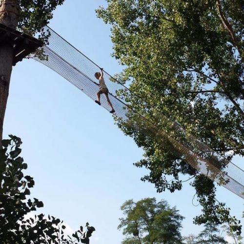 Personnes s'amusant en accrobranche, traversant ponts suspendus et tyroliennes, activité nature idéale pour tous âges, cadeau aventureux et sécurisé