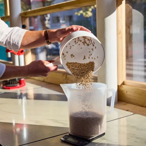 Atelier brassage bière, idée cadeau apprentissage et dégustation, expérience unique pour passionnés, étape fabrication, maître brasseur, moment convivial et découverte.