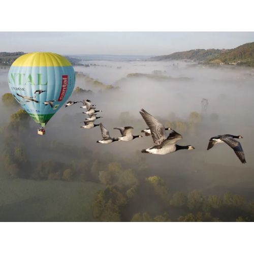 Vol en Montgolfière - Offrez une expérience unique et inoubliable avec un vol en montgolfière !