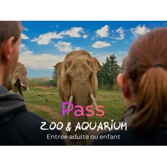 Billet pour le zoo, idée cadeau originale pour enfants; découverte d'animaux, moments magiques, aventure fascinante, apprentissage ludique et souvenirs inoubliables.