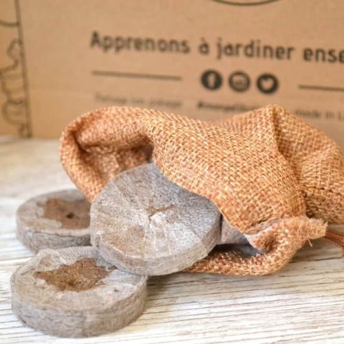Le coffret Légumes Oubliés