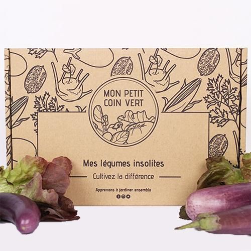 Kit graines légumes originaux pour jardiniers créatifs - carottes violettes, tomates rayées, choux rouges.