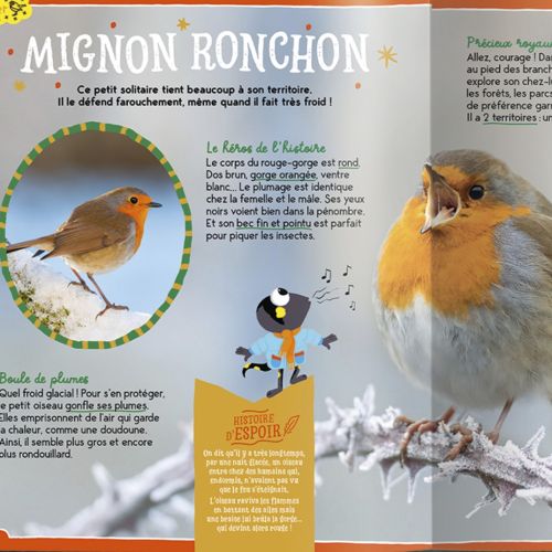 Revue Petite Salamandre pour enfants 6 ans. Nature, sans pub, avec histoires, jeux, activités. Cadeau éducatif et écologique parfait.