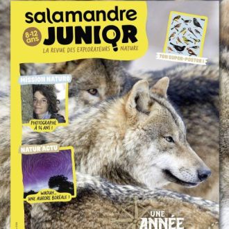 Magazine Salamandre Junior pour enfants 8-12 ans, explore la nature, faune, flore, écosystèmes. Cadeau éducatif, ludique, durable et respectueux de l'environnement.