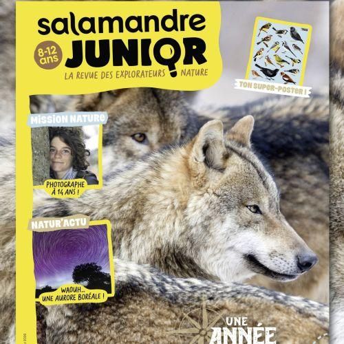 Magazine Salamandre Junior pour enfants 8-12 ans, explore la nature, faune, flore, écosystèmes. Cadeau éducatif, ludique, durable et respectueux de l'environnement.