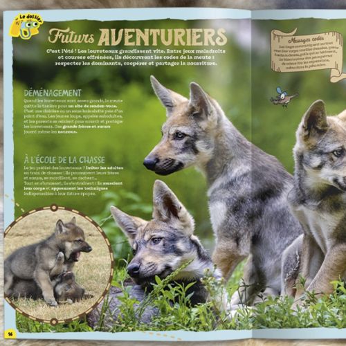 Magazine Salamandre Junior pour enfants 8-12 ans, explore la nature, faune, flore, écosystèmes. Cadeau éducatif, ludique, durable et respectueux de l'environnement.