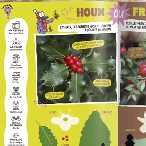 Magazine Salamandre Junior pour enfants 8-12 ans, explore la nature, faune, flore, écosystèmes. Cadeau éducatif, ludique, durable et respectueux de l'environnement.