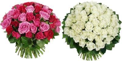 Bouquet de 60 roses