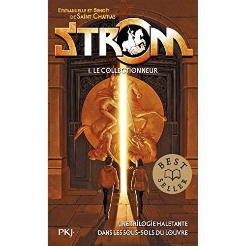 Livre captivant pour fille de 12 ans, aventures magiques, Strom : Le Collectionneur.