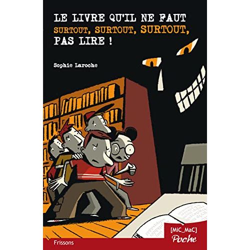 Livre captivant pour jeunes, mystère et aventure, Sophie Laroche