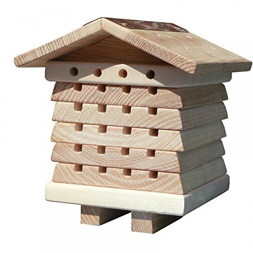 Ruche écologique pour abeilles solitaires, idéale pour apprentissage des enfants et préservation de la biodiversité.