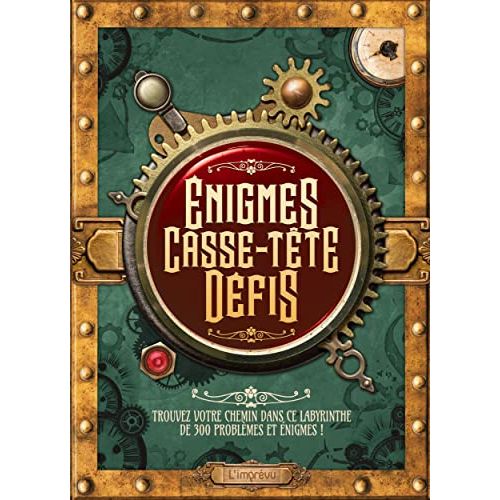 Livre d'énigmes stimulantes, cadeau parfait pour amateurs de défis mentaux et passionnés de réflexion.
