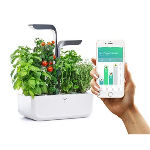 Potager d'intérieur connecté pour faire pousser des herbes aromatiques toute l'année