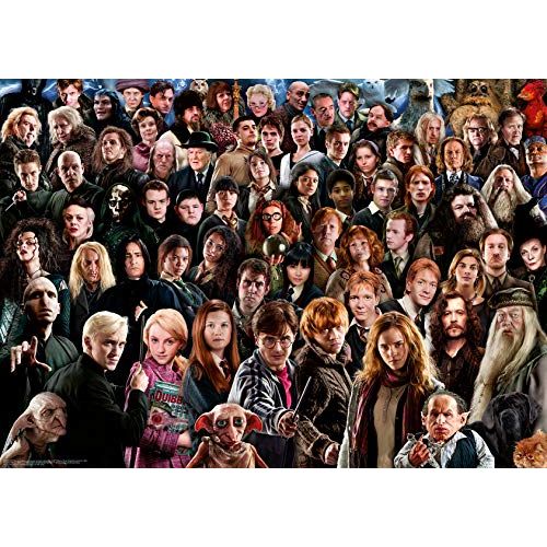 Puzzle Ravensburger Harry Potter 1000 pièces : aventure magique à Poudlard pour jeunes sorciers.
