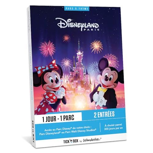 Coffret cadeau Disneyland Paris : aventure magique inoubliable pour fans de tous âges