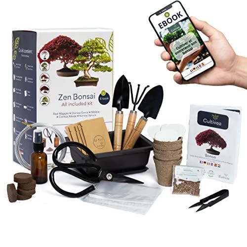 Kit Bonsaï Cultivea pour cultiver la passion du jardinage en intérieur pour femmes de 40 ans amoureuses de nature.