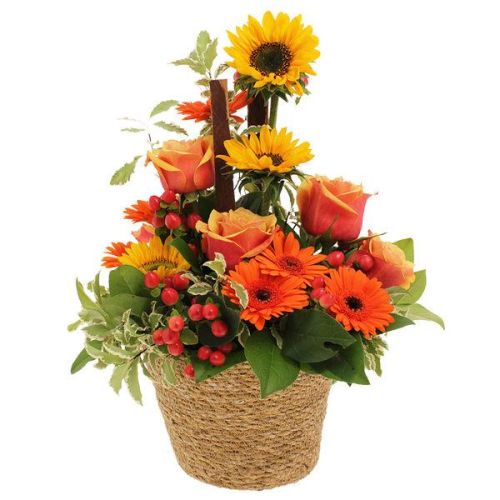 Bouquet orange : remerciements en couleur et en symboles