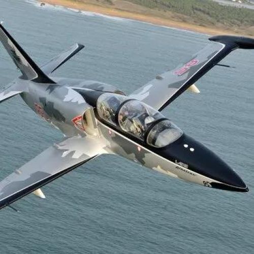 Vol en avion de chasse L-39 à Grenoble pour un anniversaire inoubliable à 40 ans