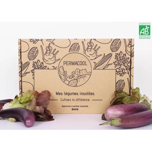 Kit graines légumes originaux pour jardiniers créatifs - carottes violettes, tomates rayées, choux rouges.