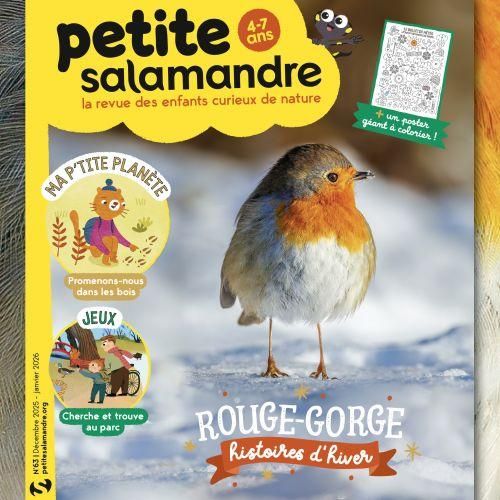 Revue Petite Salamandre pour enfants 6 ans. Nature, sans pub, avec histoires, jeux, activités. Cadeau éducatif et écologique parfait.